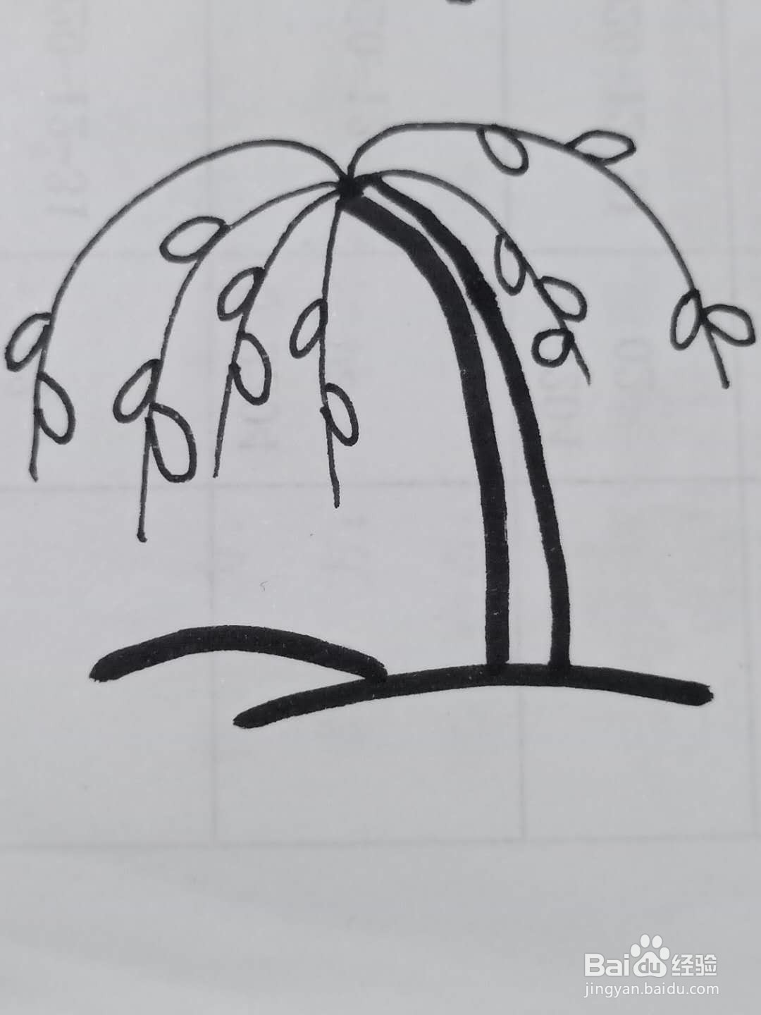怎样画柳树