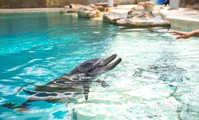 新加坡旅游简记20