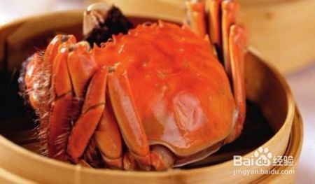 去阳澄湖旅游哪家吃蟹好