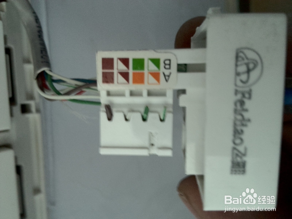 飞雕网线插座接法图解详细教程