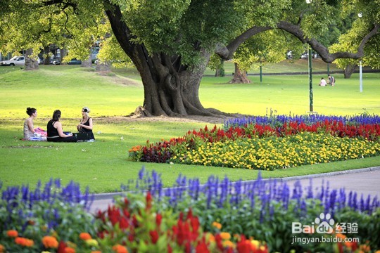 澳洲静心度假之旅之慢节奏