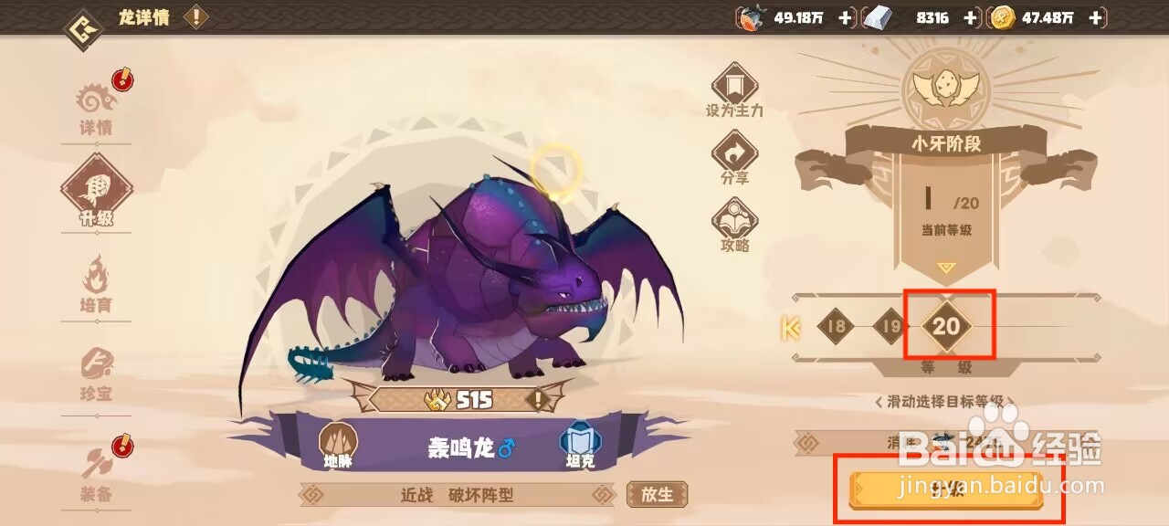 驯龙高手旅程轰鸣龙怎么升到20级？