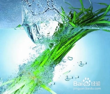 抗癌能力最强的几种食物