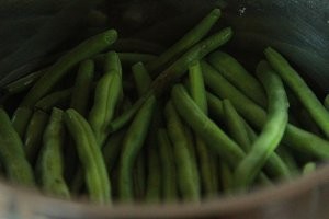 健康养生佳品干煸四季豆的做法