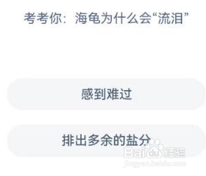 考考你海龟为什么会“流泪”神奇海洋