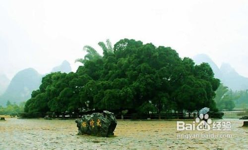 阳朔好玩的地方盘点