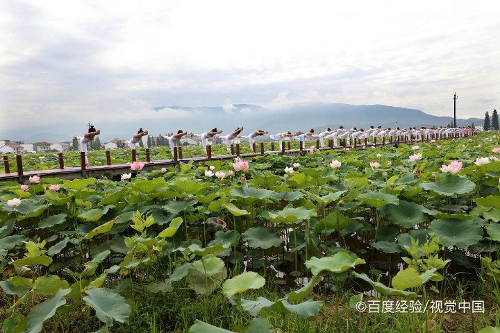 萍乡有什么好玩的地方和风景点