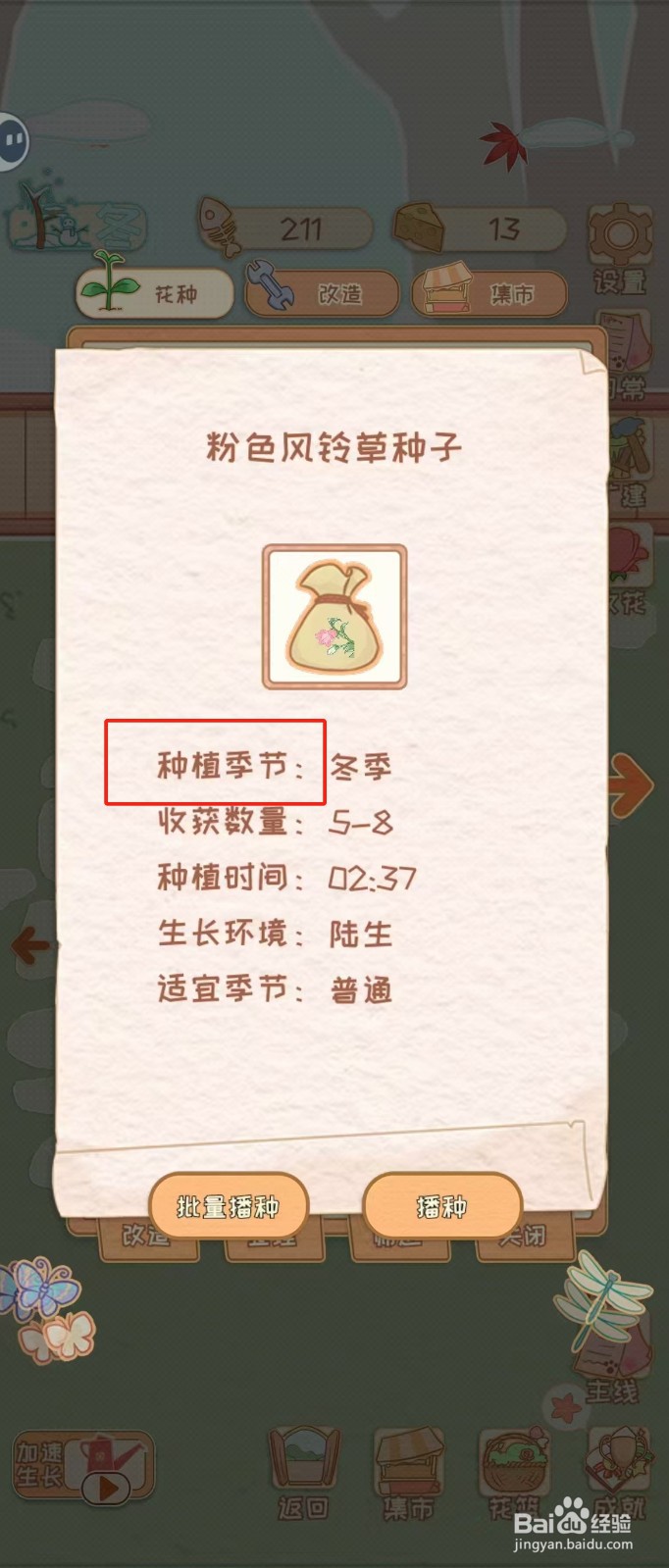 花店物语如何查看粉色风铃草种子的种植季节