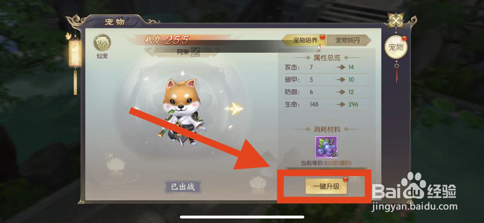 剑玲珑怎么升级宠物