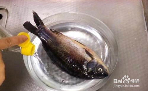 怎么快速解冻鱼