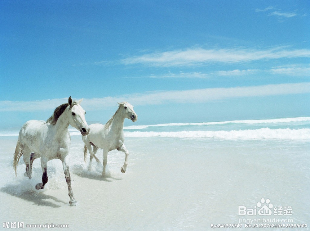 怎样变成有趣的生活