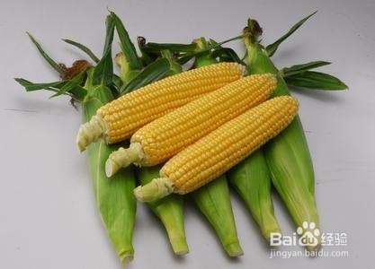 荷兰猪到家买的草还没到家怎么办