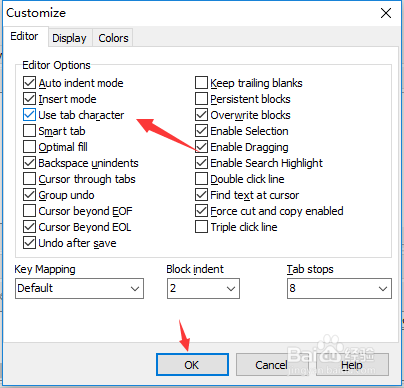 DzSoft PHP Editor怎么设置使用制表符