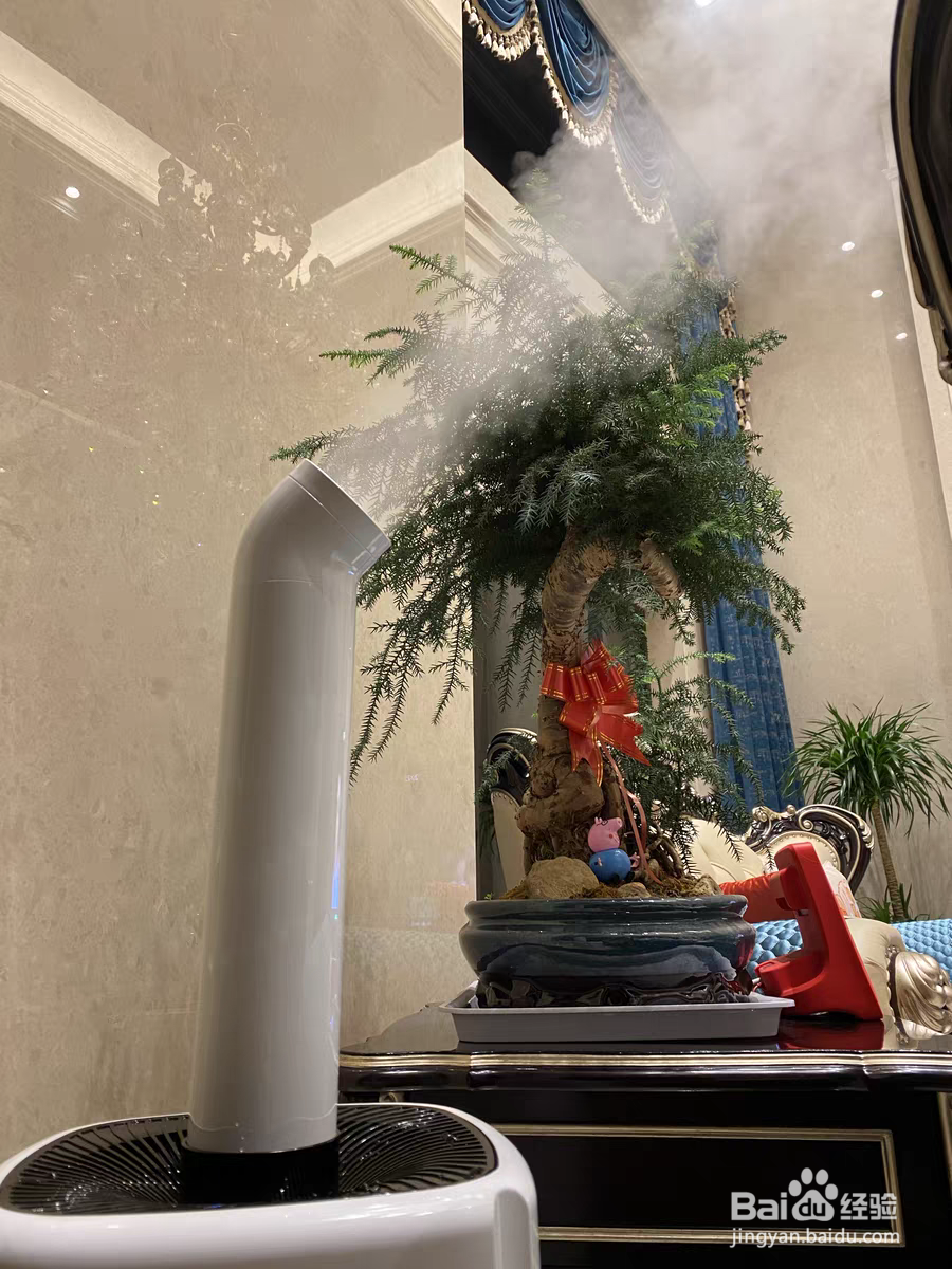 新房刚装修怎么去甲醛?