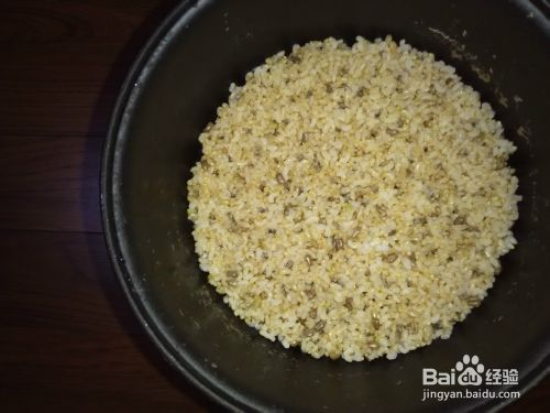 发芽糙米饭做法