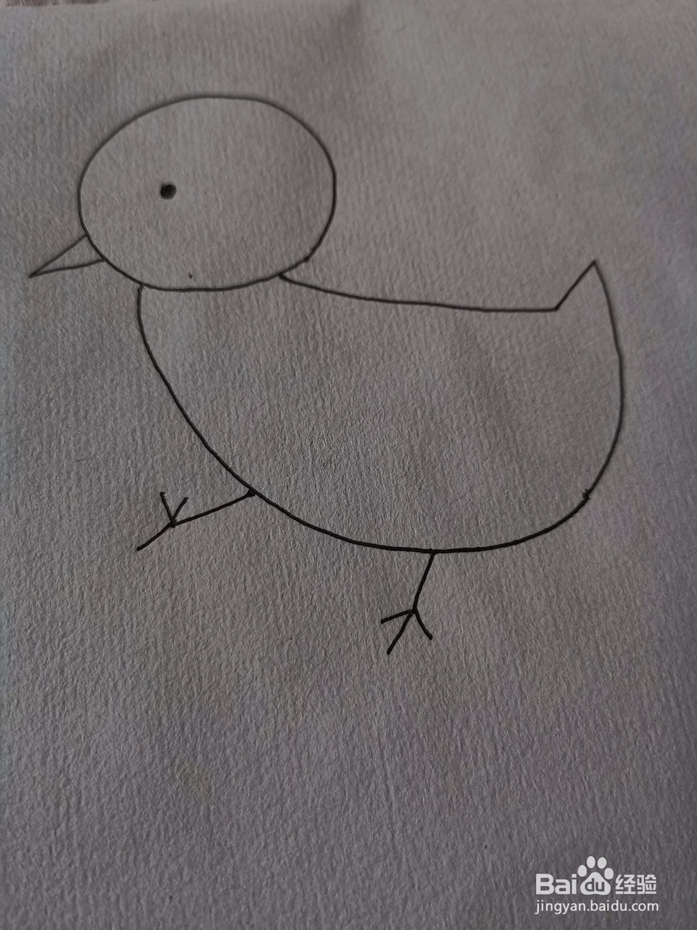 如何画小鸡简笔画