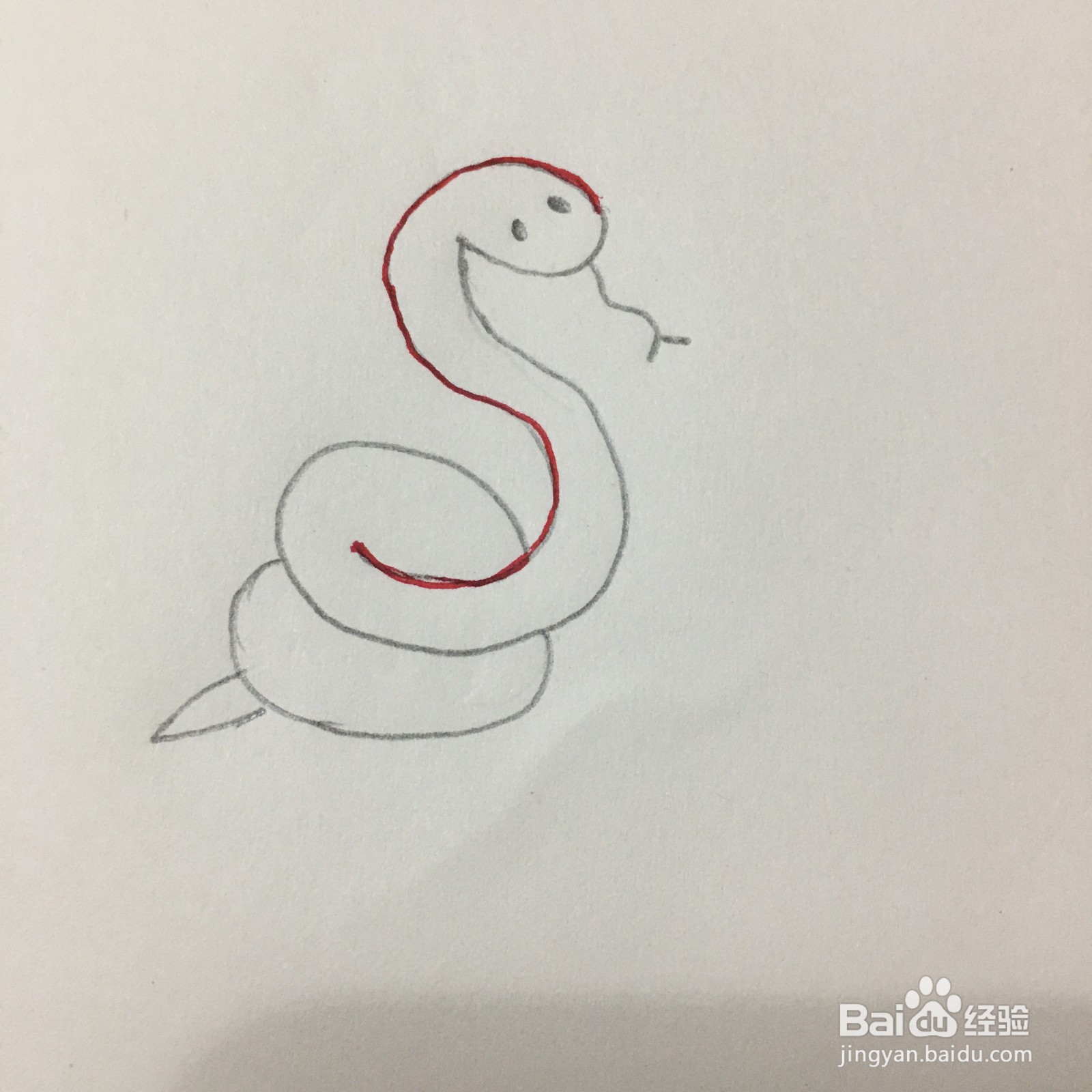 26个字母中S的简笔画怎么画？