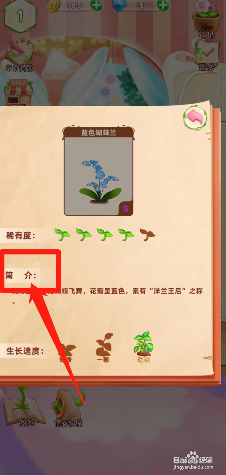 花花姑娘之魔法花园如何查看蓝色蝴蝶兰简介