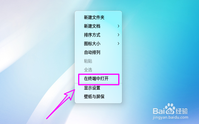deepin20怎么查看网络连接名称