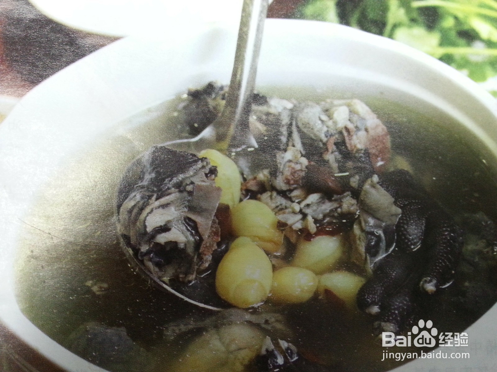白果乌鸡汤，适合春分前后