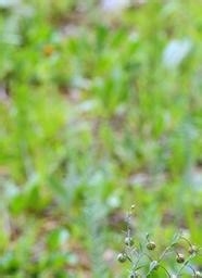 监理施工要点48