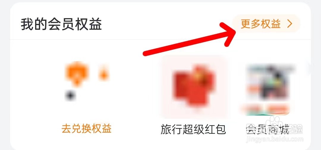 飞猪旅行在哪里查看更多权益