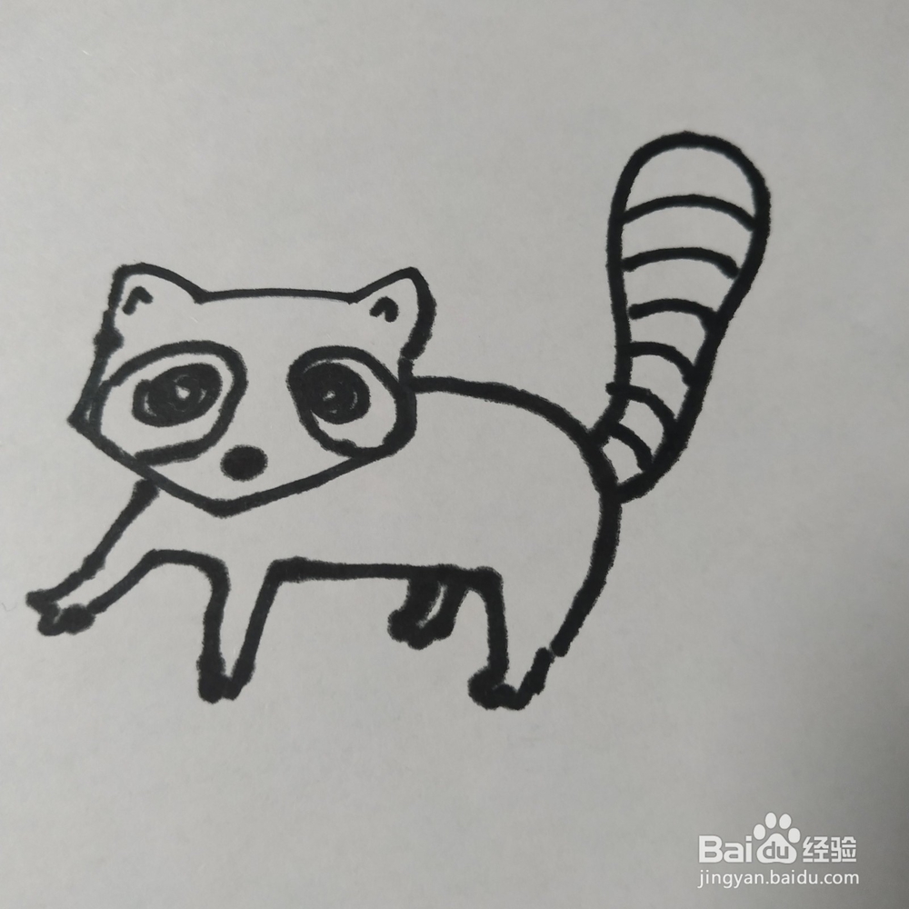 怎么画浣熊的儿童画?浣熊的儿童画怎么画呢?