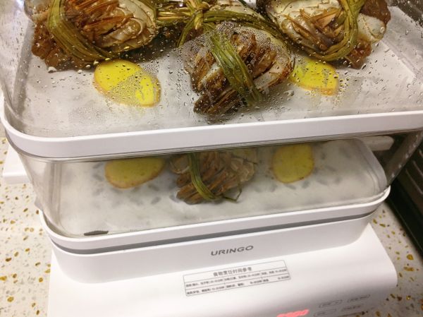 清蒸阳澄湖大闸蟹