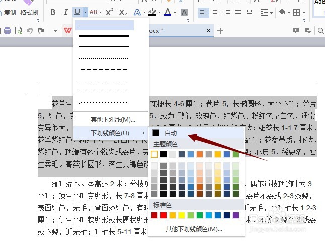 word文档下划线不显示
