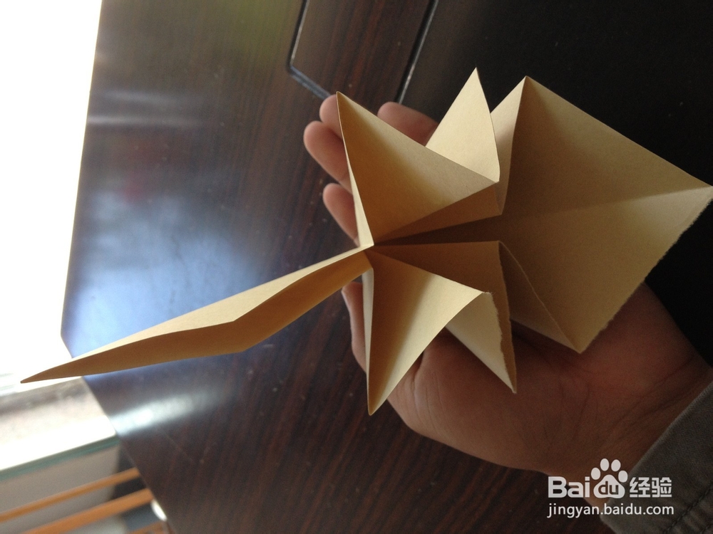 怎样折纸百合花