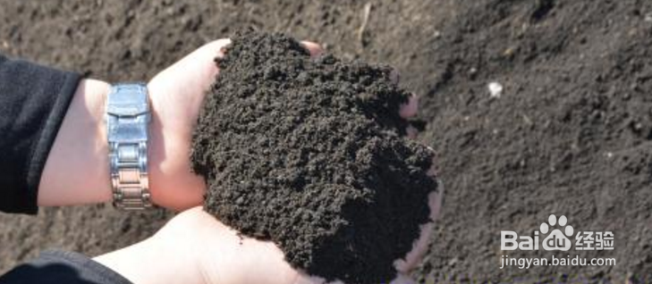 怎么样判断发酵生物有机肥是否成功?