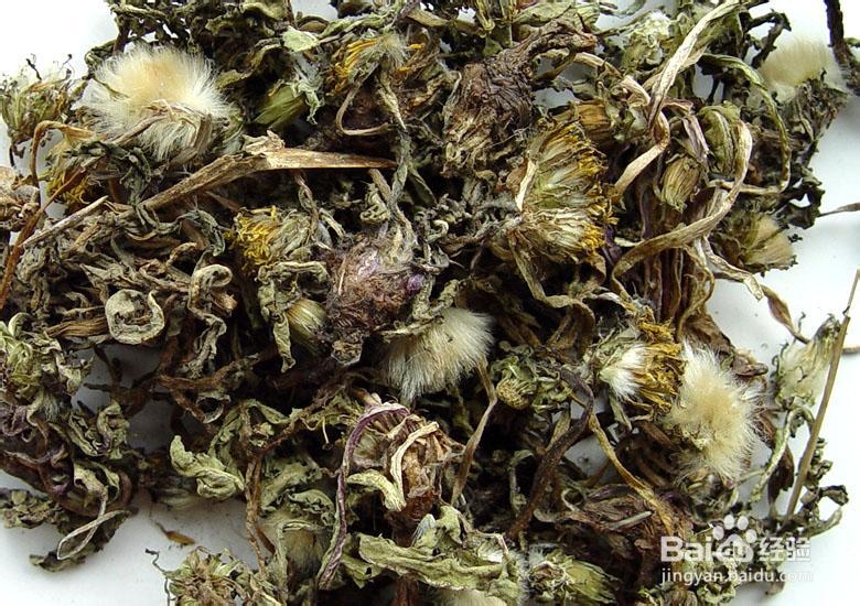 我们身边有哪些中药：[29]蒲公英