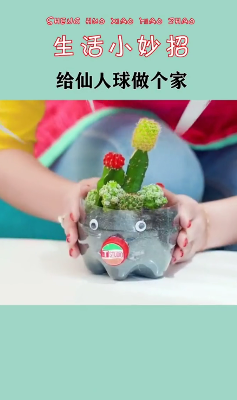 怎样给仙人球做花盆