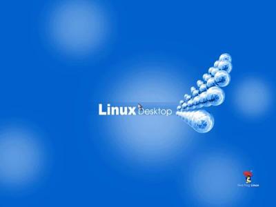 红旗Red Flag Linux 4.1安装全程图解