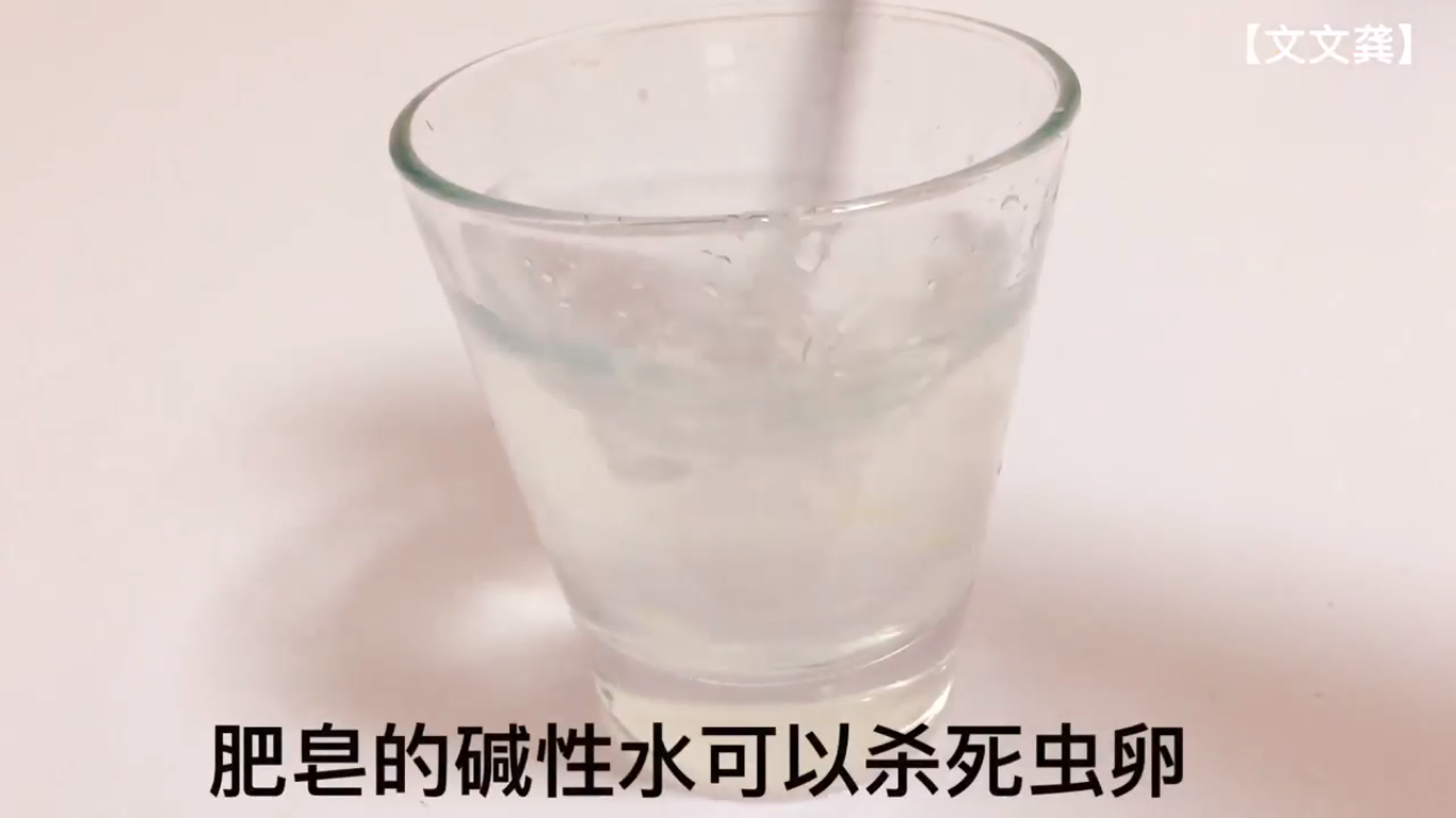 如何自制捕蚊虫水