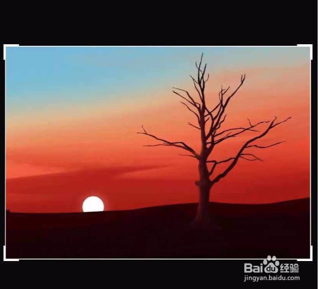 iPhone如何隐藏照片#经验分享官#