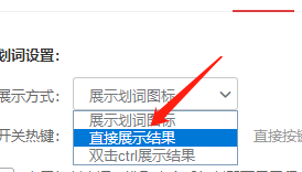 Win版有道词典如何直接展示划词结果