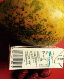 如何做红枣木瓜炖奶