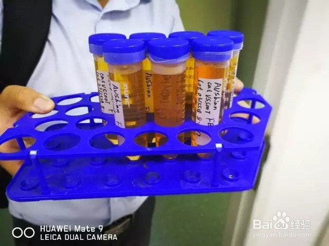 胎牛血清融化三步法