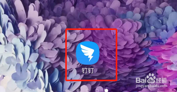 钉钉怎么和别人密聊