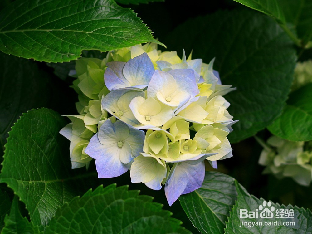 如何在校园找到靠谱的兼职