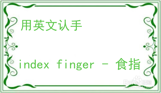 教你用英文认手