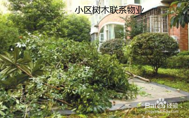 树倒了找哪个部门处理