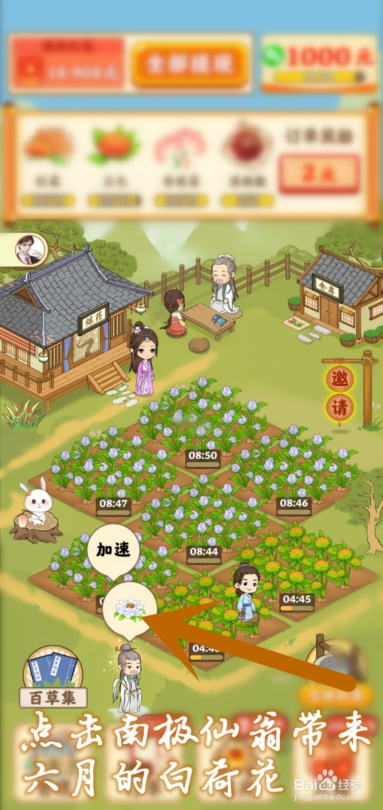 神农百草园怎么点亮百草集六月的白荷花