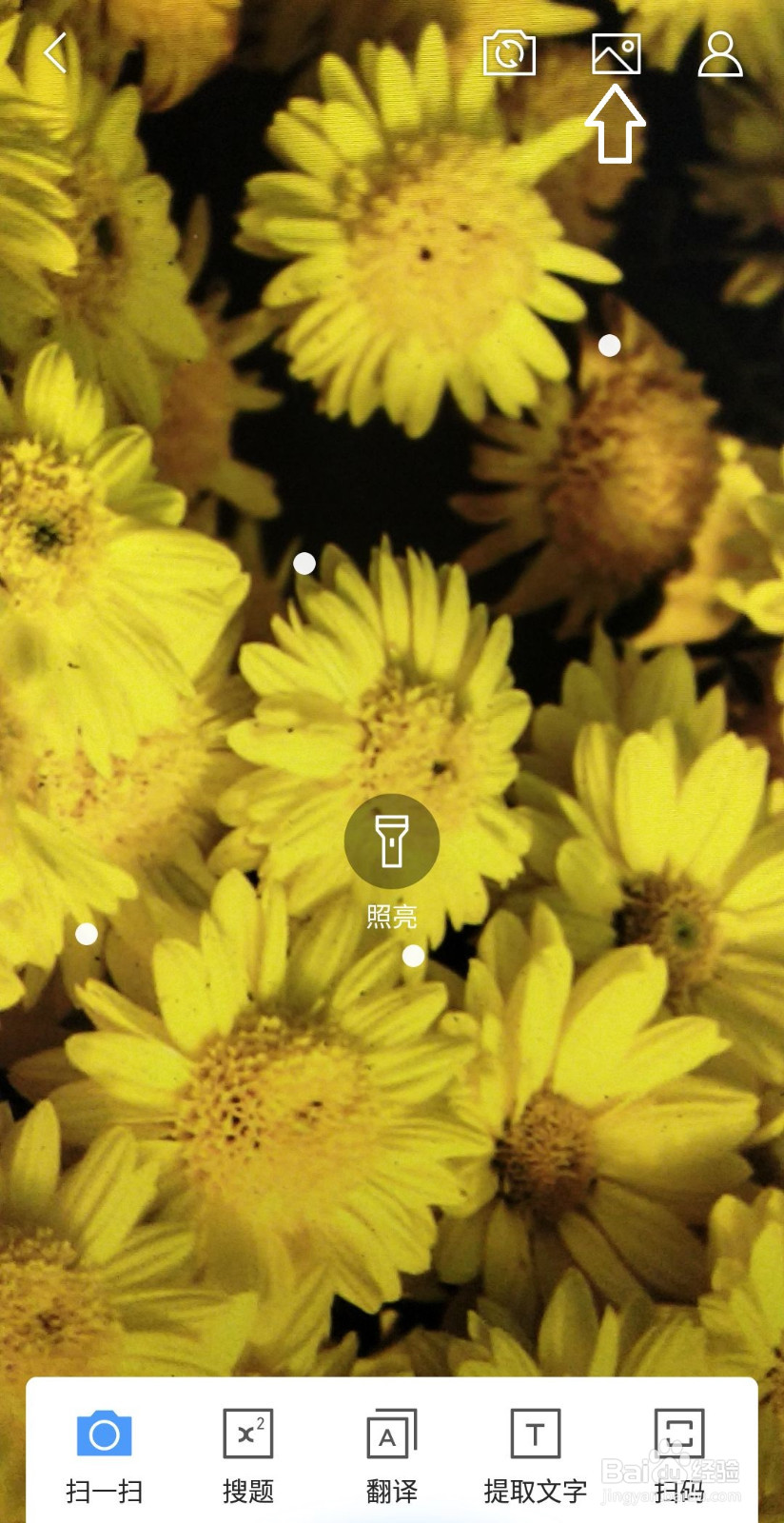 如何用手机识别各种花草！