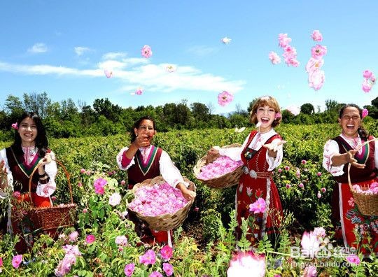 精油的制作方法