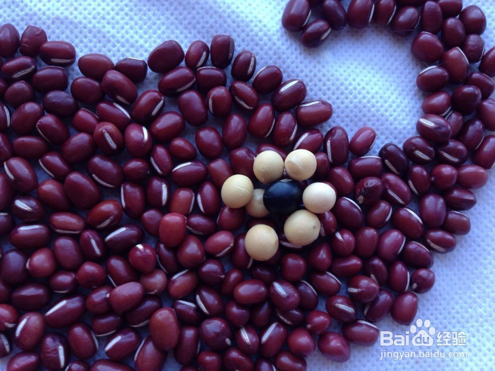 怎样画种子画--大象