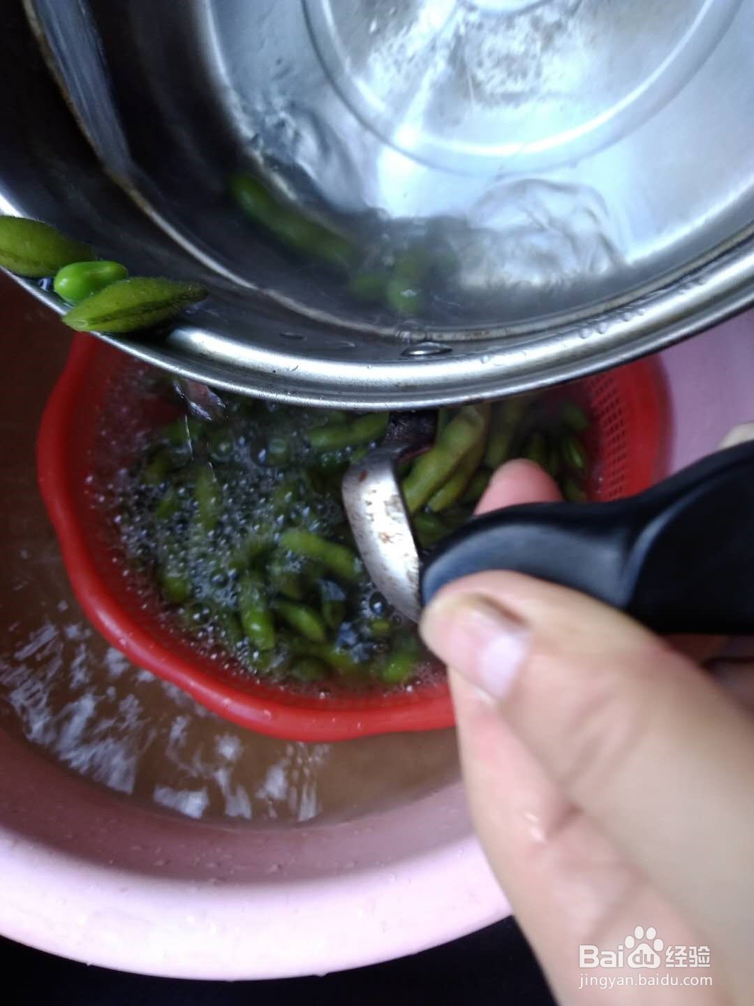 煮毛豆的做法