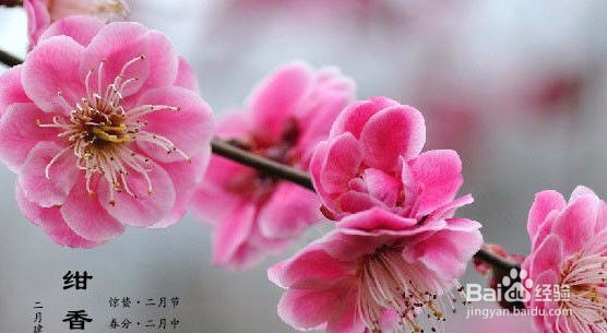 为什么今年没有大年三十？