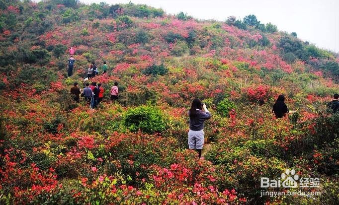 同安云顶山攻略